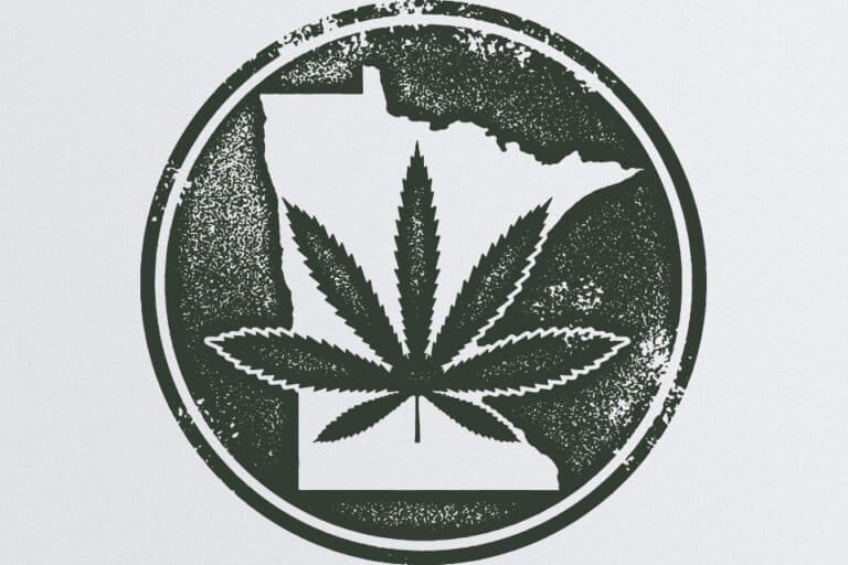 Plemienna marihuana zyskuje na popularności w Minnesocie, gdy liderzy radzą sobie z bólem wzrostu - MEDCAN24