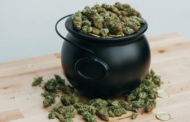 Luckiest Strains for St. Patrick’s Day - MEDCAN24