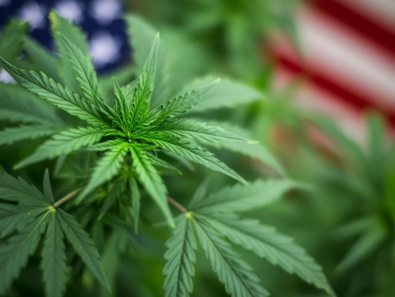 Virginia Governor Expected to Veto Recreational Marijuana Sales Bill - MEDCAN24