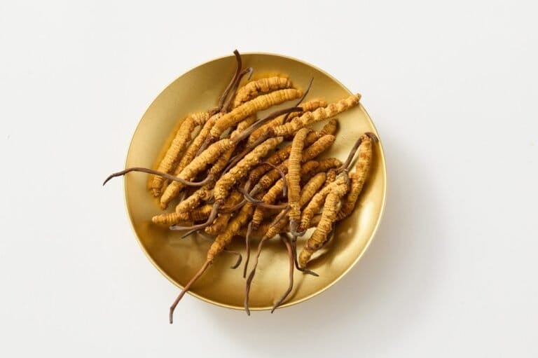 Cordyceps wyjaśniony: Funkcjonalny grzyb zmieniający zdrowie & fitness - MEDCAN24