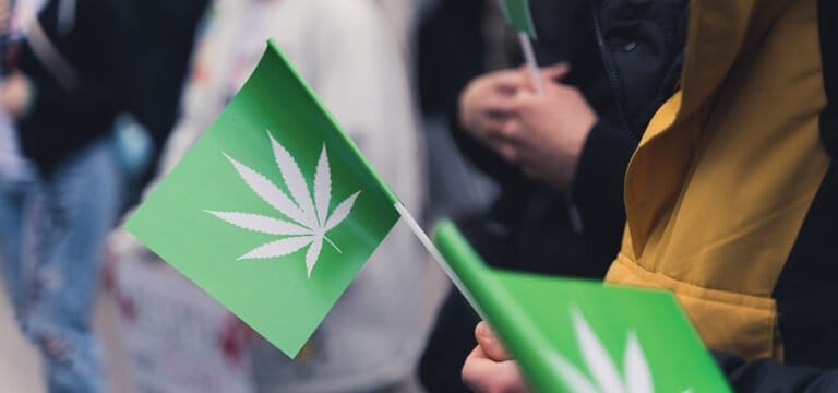 Florida Officials Accuse Cannabis Legalization Campaign of Fraud, Election Law Violations - MEDCAN24