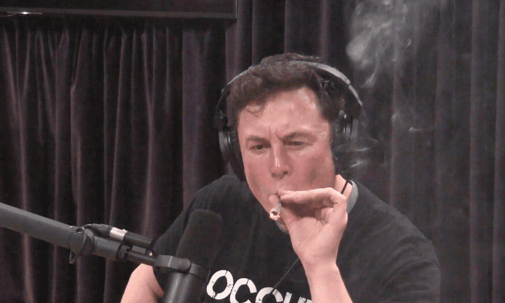 Democratic Lawmaker Targets Elon Musk With Bill Mandating Drug Testing For Special Government Employees - MEDCAN24