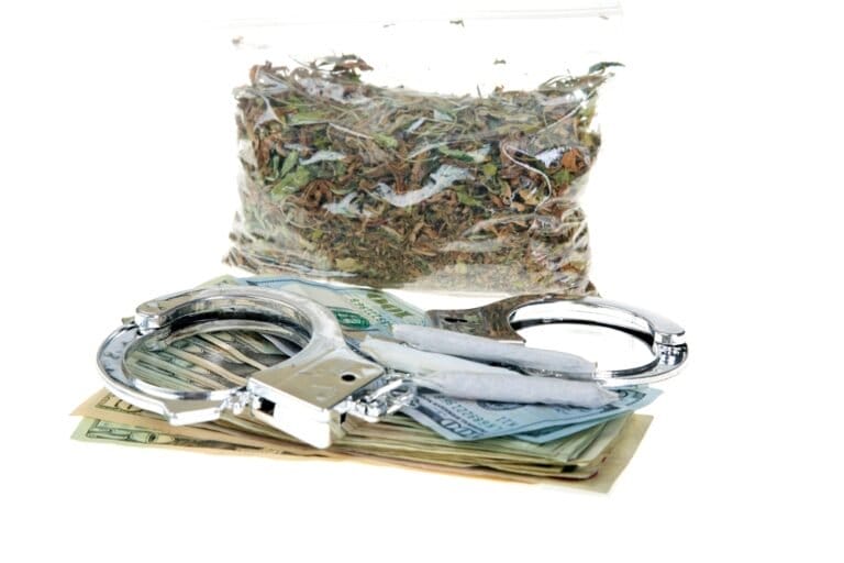 California seizes over $316 million of illegal cannabis - MEDCAN24