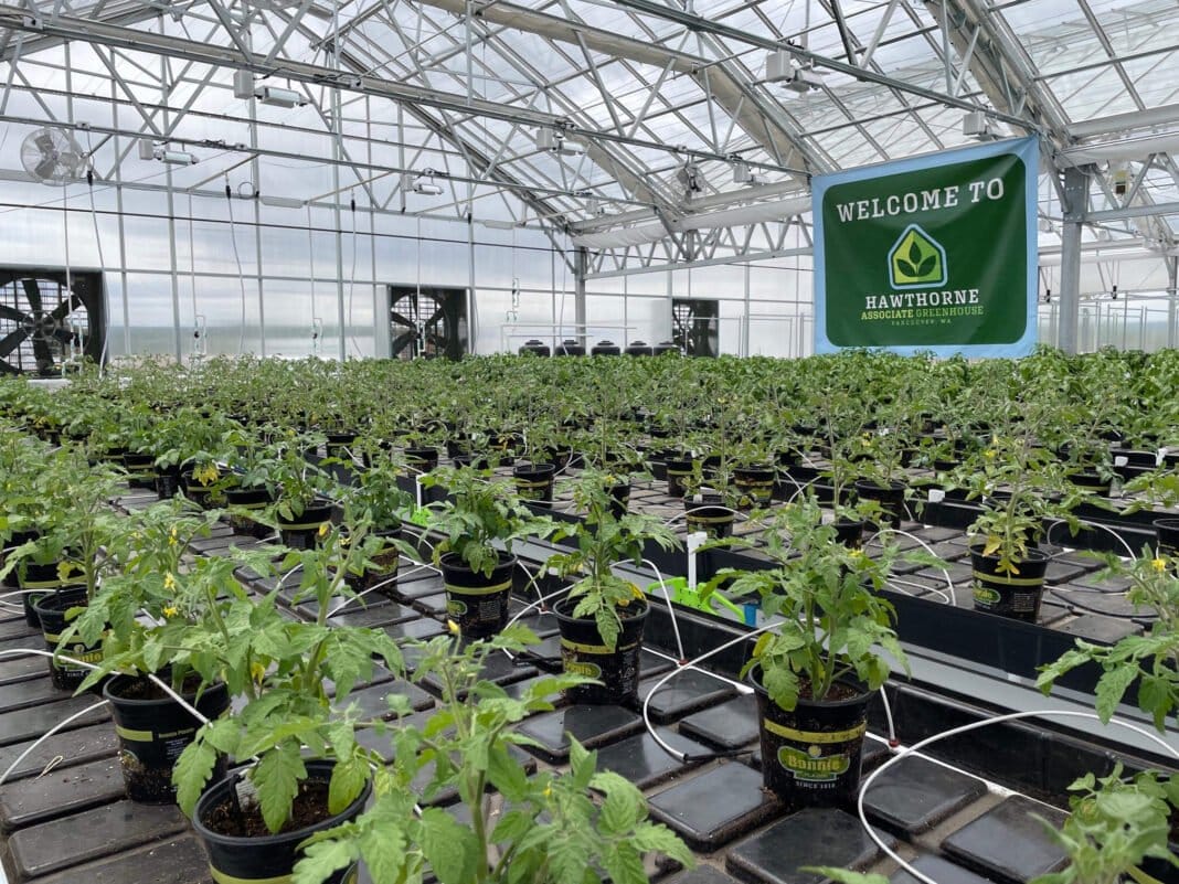 Scotts cuts Hawthorne Collective loose as it pivots away from cannabis - MEDCAN24