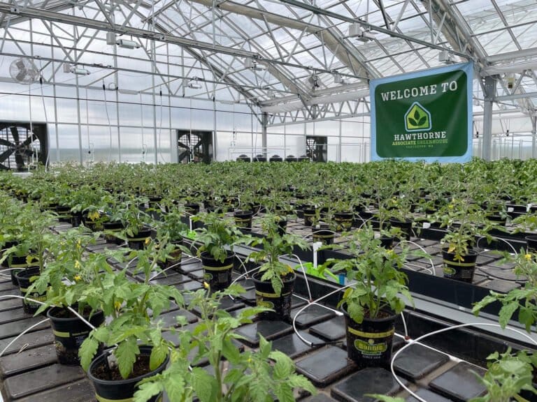 Scotts cuts Hawthorne Collective loose as it pivots away from cannabis - MEDCAN24