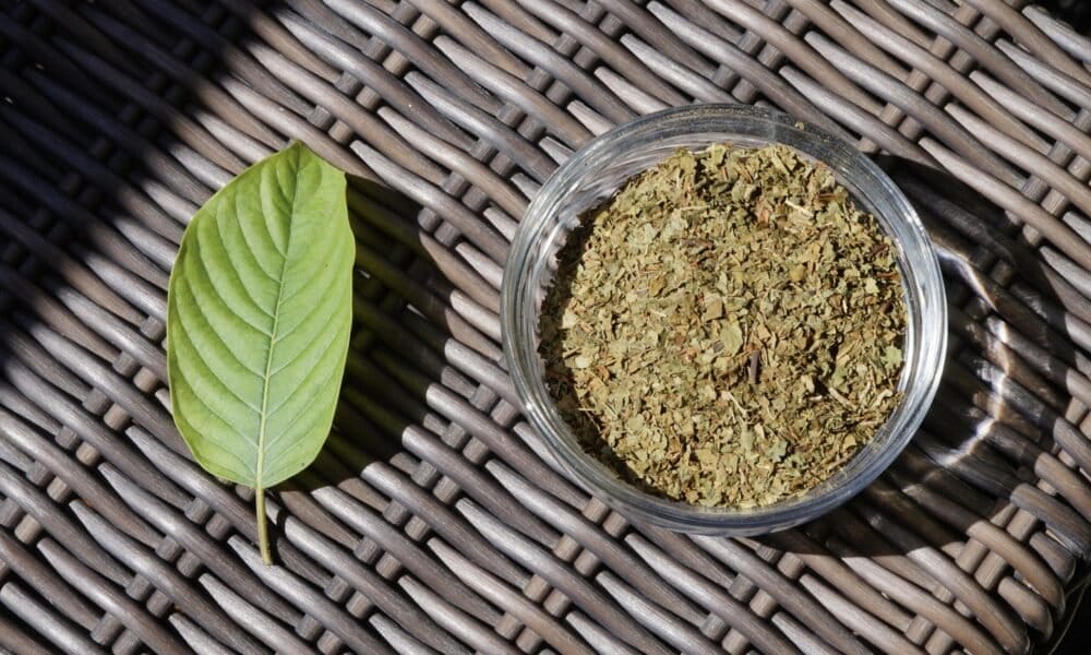 Ponieważ konsumenci Kratomu stają w obliczu globalnych zakłóceń na rynku, nadszedł czas, aby FDA przedłożyła bezpieczeństwo nad piętno (Op-Ed) - MEDCAN24