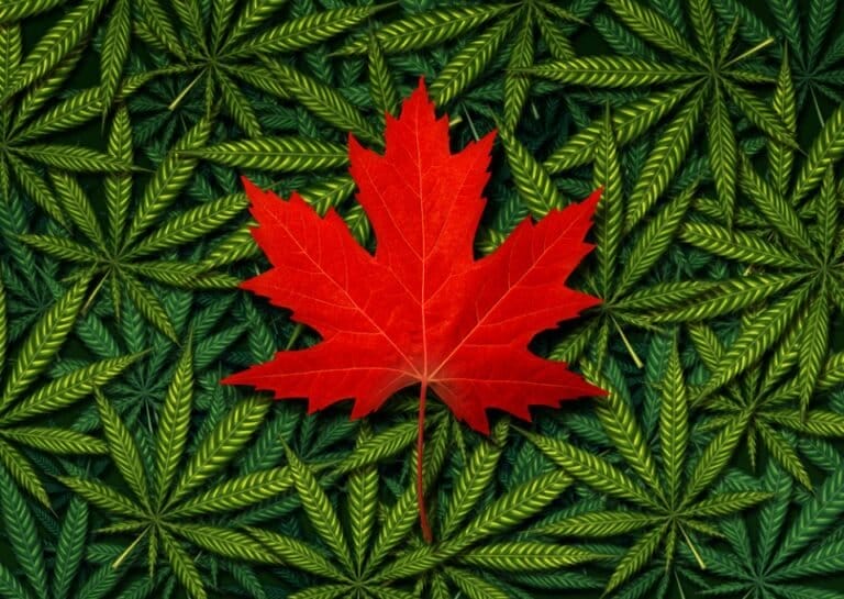 Report: Canadian cannabis market growth slows to 4% in first quarter - MEDCAN24