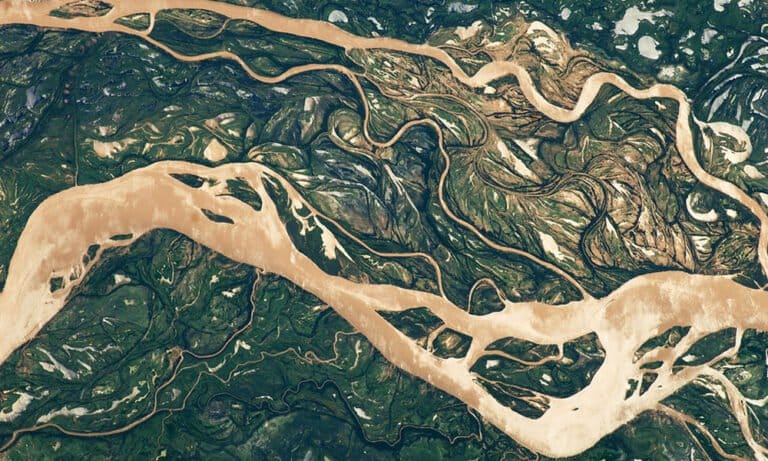 5 sposobów, w jakie marihuana może uratować planetę w Dniu Ziemi - MEDCAN24
