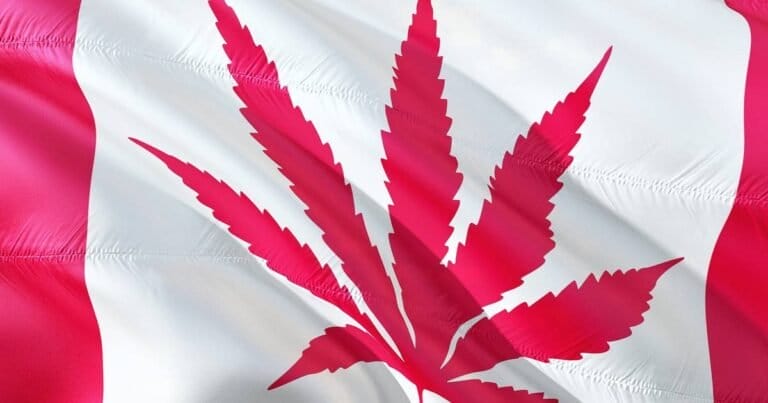 Study: Cannabis Use/Misuse In Canada 