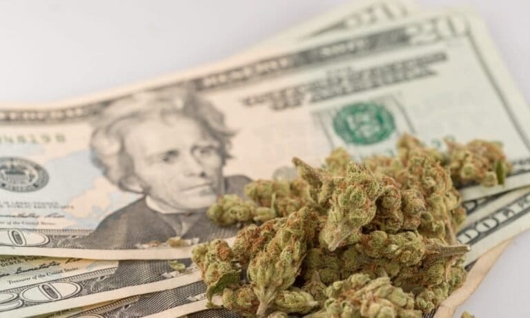 New York Marijuana Sales Near $1.5 Billion Total As Number Of Stores Nearly Tripled Last Year, State Report Says - MEDCAN24