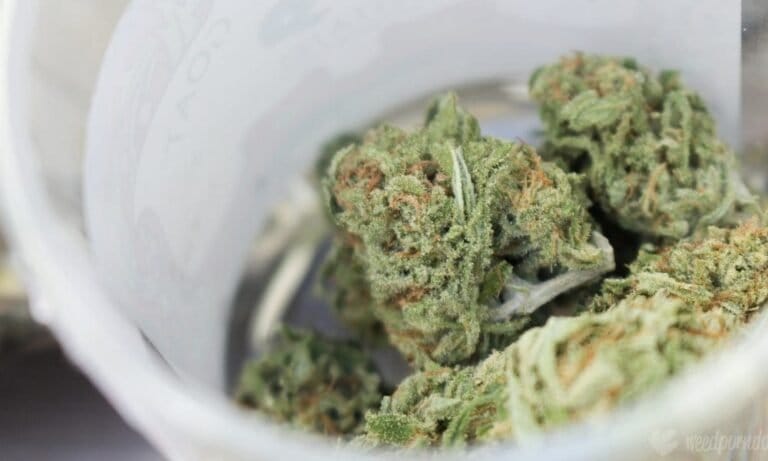 Medicare And Medicaid Officials Finalize Rule To Clarify That Medical Marijuana Isn’t Covered By Federal Health Programs - MEDCAN24