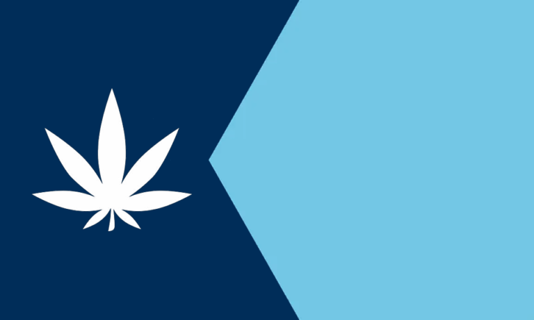Minnesota cannabis licensing process advances, but delays expected - MEDCAN24