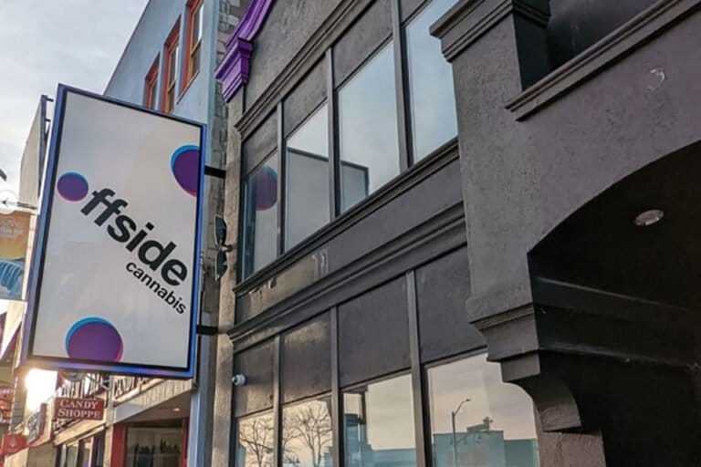 Delota kontynuuje drogę do rentowności z pozytywnymi wynikami za czwarty kwartał - MEDCAN24