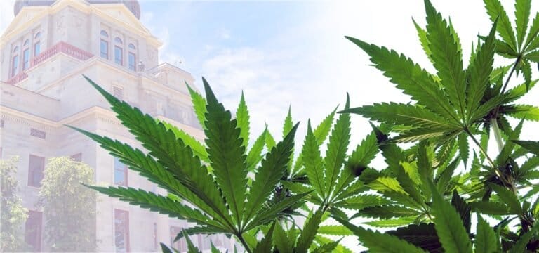 Montana Passes Bill to Allow Tribal Cannabis Agreements - MEDCAN24