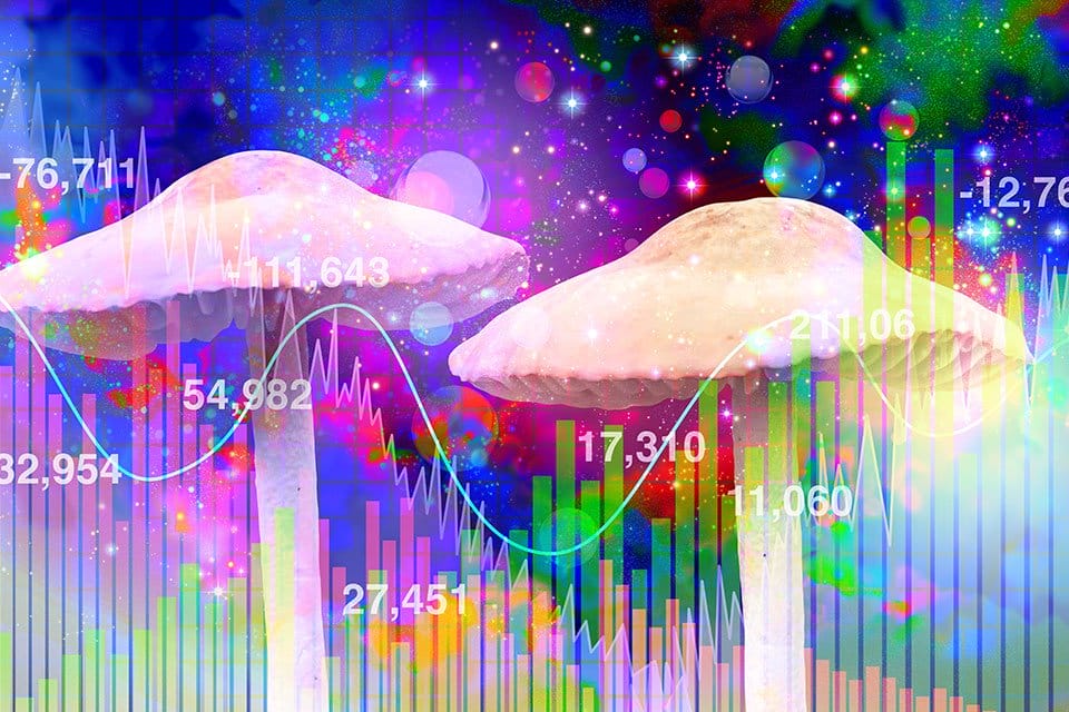 MindBio Therapeutics uzyskuje 170 000 USD w ramach oferty prywatnej, 1,76 mln USD spłaty zadłużenia - MEDCAN24