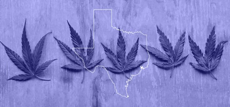 Zwolennicy konopi gromadzą się na Kapitolu w Teksasie, aby zaprotestować przeciwko proponowanemu zakazowi THC - MEDCAN24
