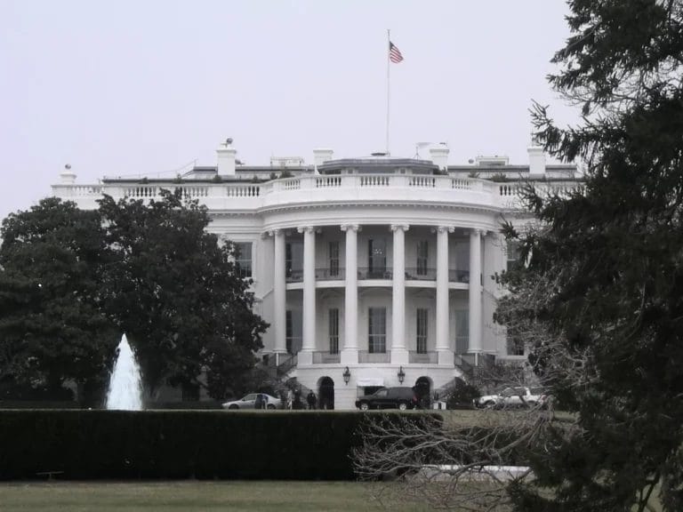Branża konopi indyjskich celuje w Trumpa z reklamą o wartości 1 mln USD, wzywając do reformy regulacji - MEDCAN24