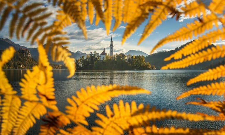 Slovenian Parliament Introduces Historic Medical Cannabis Measure - MEDCAN24