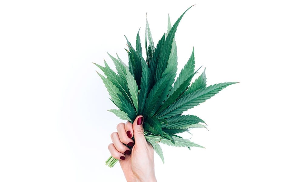 5 Articles to Send Your Canna-Curious Mom This Mother’s Day - MEDCAN24