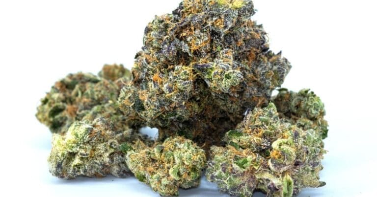 Survey: Cannabis Attitudes In Texas