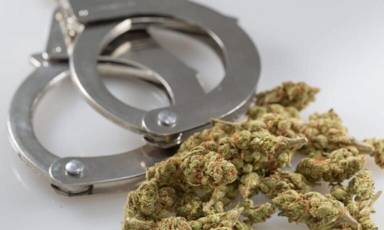 DEA Partners With Anti-Marijuana Group To Spread Memes Claiming Cannabis Is Linked To Suicide, Depression And Low Sperm Count