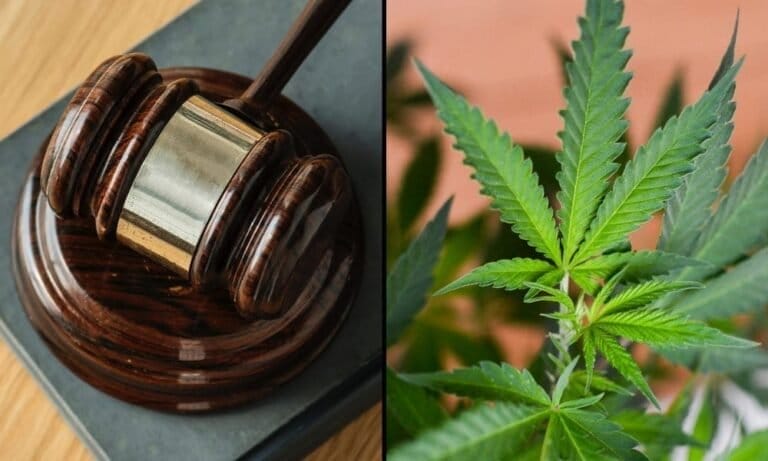 Minnesota Court Of Appeals To Decide Whether State Can Prosecute Marijuana-Related Crimes On Tribal Lands