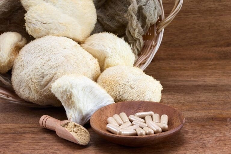 Lion’s mane in Ireland: The growing role of nature’s brain-boosting mushroom