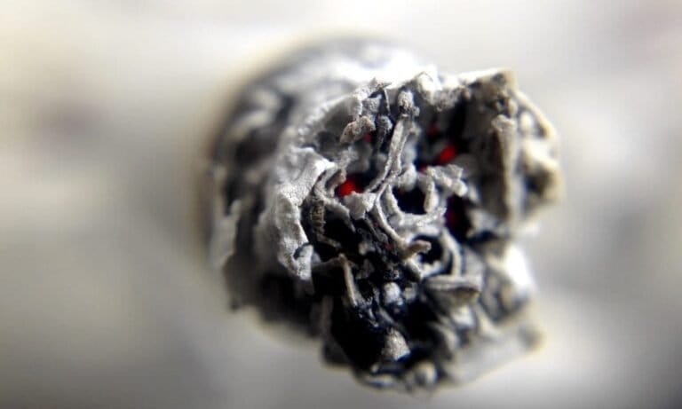 How Do The U.S. And Canadian Markets For Pre-Roll Marijuana Products Differ? (Op-Ed)
