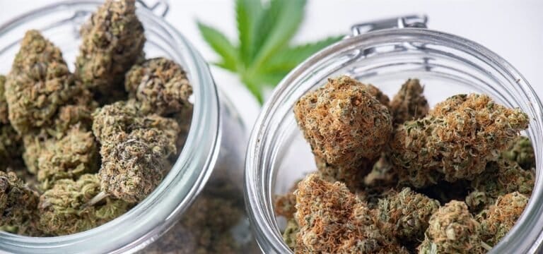 Nebraska Gov. to Support Medical Cannabis Commission as Legislature Remains Deadlocked
