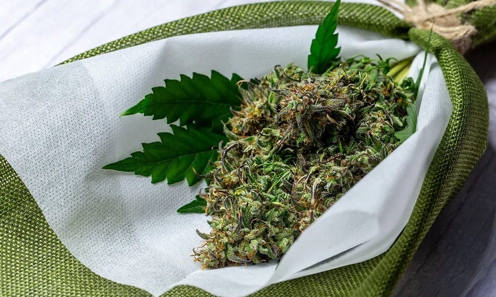 10 prezentów na Dzień Matki dla każdego rodzaju Canna-Mamy