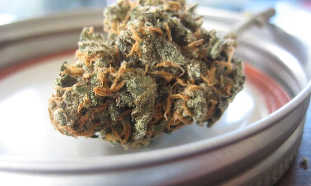 New Jersey Lawmakers Consider Recriminalizing Some Marijuana Purchases And Sales