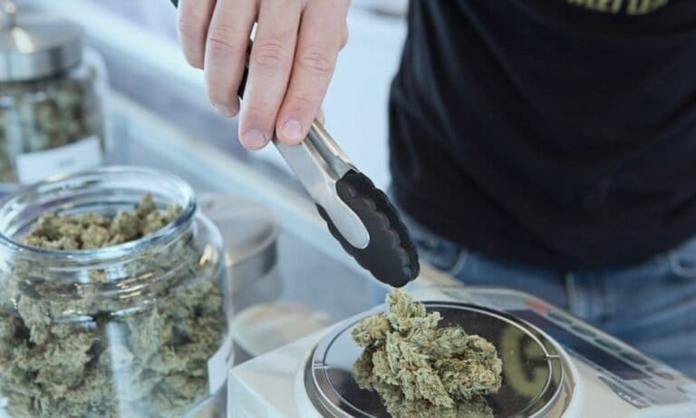 Legal Markets Protect Marijuana Consumers From Tainted Products (Op-Ed)
