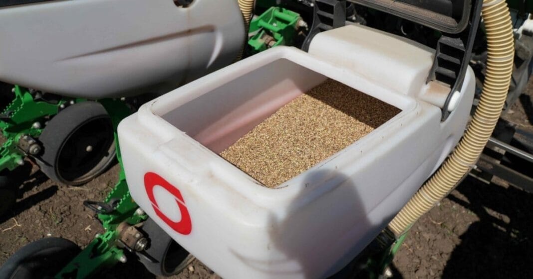 First Industrial Hemp Crops Sown In Moldova