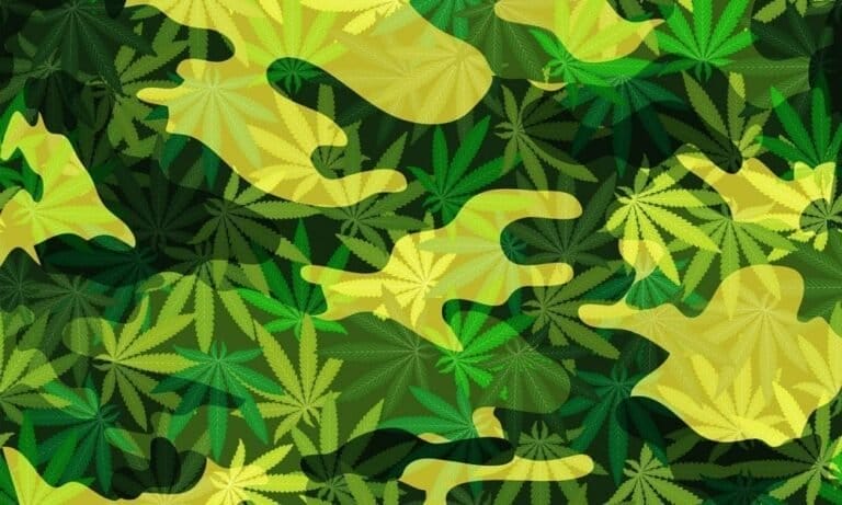 Most Veterans And Their Family Members Say VA Doctors Should Be Able To Provide Medical Marijuana, Poll Shows
