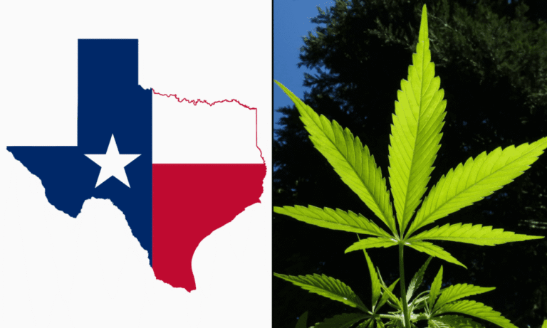 Texas House Approves Bill To Expand Medical Marijuana Access With New Conditions, Products And Dispensary Locations