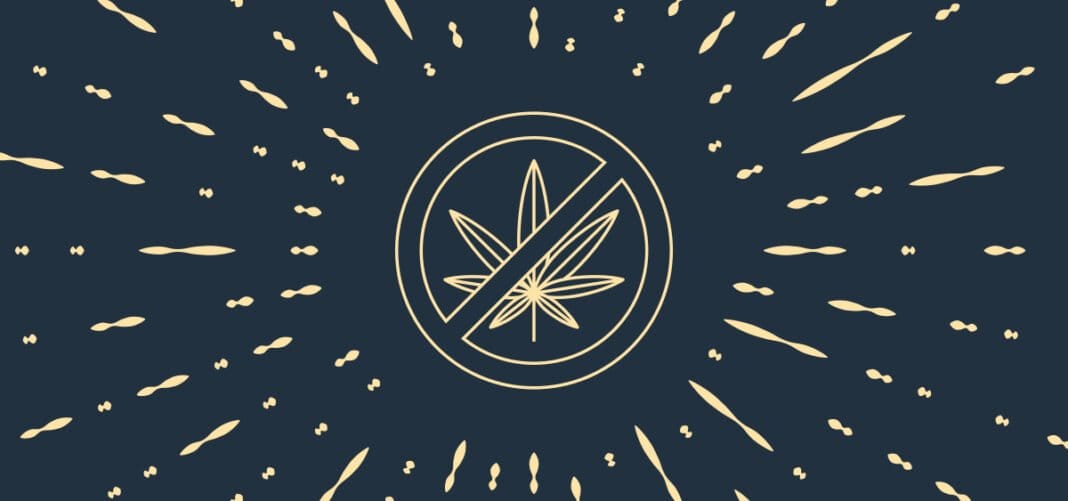 Republican Lawmakers Kill Cannabis Legalization Provisions in Wisconsin Gov’s Budget Proposal - MEDCAN24