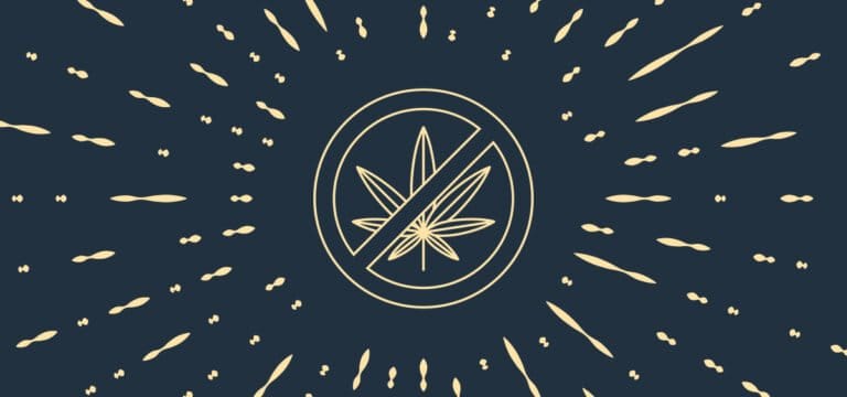 Republican Lawmakers Kill Cannabis Legalization Provisions in Wisconsin Gov’s Budget Proposal - MEDCAN24