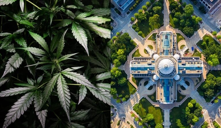Wisconsin Cannabis Legalization Hopes Fade as GOP Lawmakers ‘Gut’ Governor’s Budget