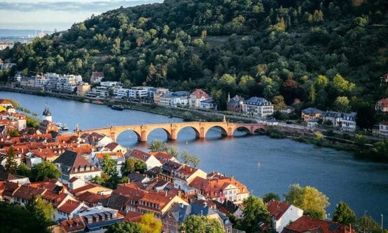 Options for German Cannabis Patients and Consumers Are Improving - MEDCAN24