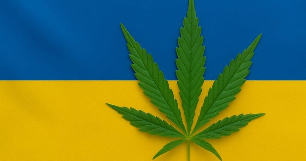 Większy postęp medycznej marihuany na Ukrainie