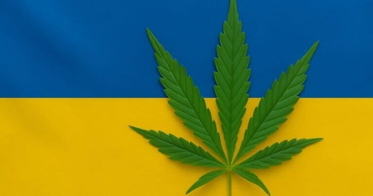 Większy postęp medycznej marihuany na Ukrainie