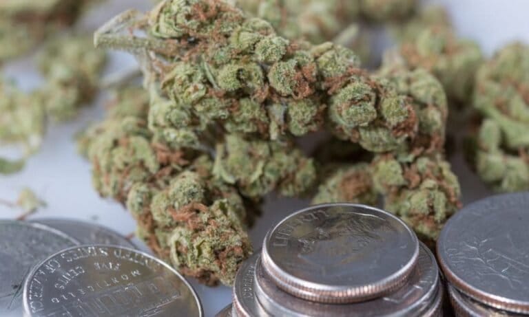 Montana Governor Rejects Bill That Would Direct Cannabis Tax Revenue To ‘Cops And Conversation’
