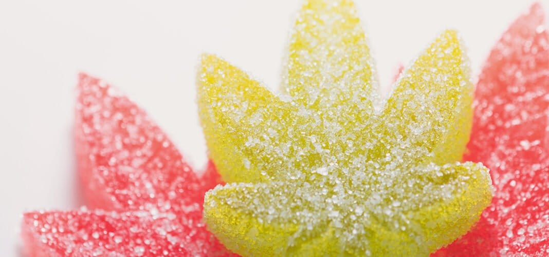 USDA Clarifies Cannabis Food and Drinks Are Ineligible for SNAP - MEDCAN24