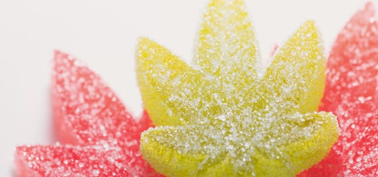 USDA Clarifies Cannabis Food and Drinks Are Ineligible for SNAP - MEDCAN24