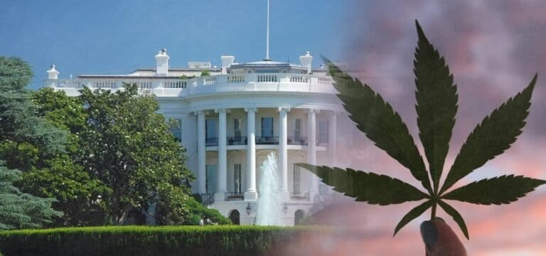 Letter to Trump Calls for Ending Federal Cannabis Arrests to Save Government Money - MEDCAN24