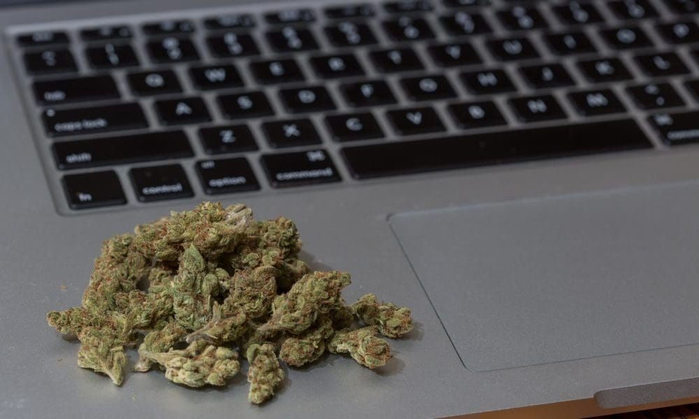 Marijuana And Drug Groups Press Meta About Shadowbanning And Censorship Of Content On Facebook And Instagram