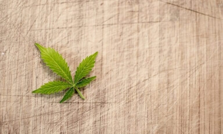 Delaware Lawmaker Withdraws Bill To Regulate Hemp-Derived THC Drinks