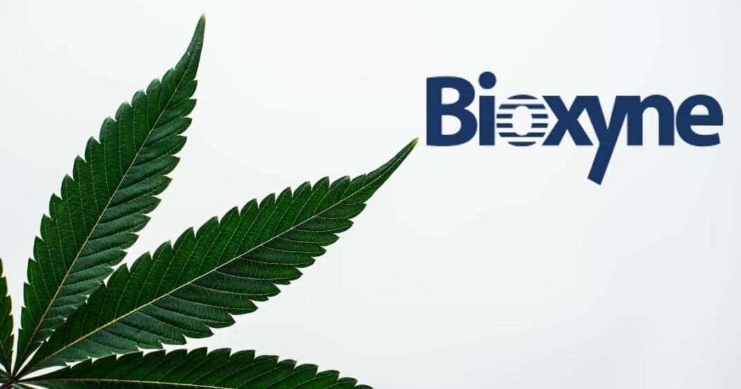 Australijska firma Bioxyne podpisała umowę na dostawy medycznej marihuany do Niemiec