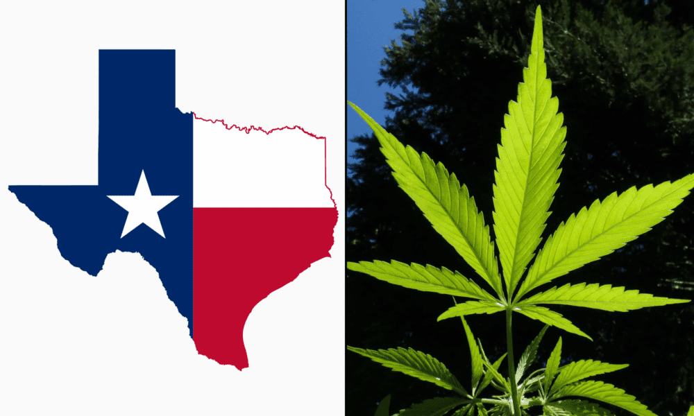 Texas Governor Vetoes Bill To Ban Hemp Products With Any THC Following Forceful Pushback From Industry, Veterans And More