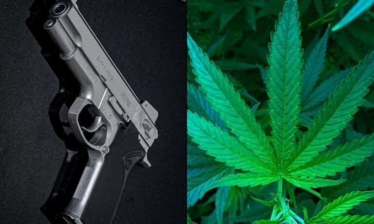 Letting Marijuana Users Have Guns Poses ‘A Clear Danger,’ Trump’s Solicitor General Tells Supreme Court
